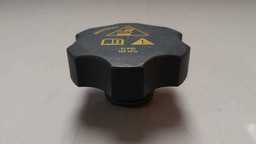 TAMPA DO RADIADOR FORD FOCUS 2009