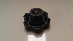 TAMPA DO RADIADOR FORD FOCUS 2009