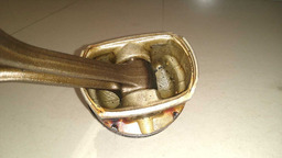 BIELA COM PISTÃO RENAULT SANDERO 1.6 8V FLEX 2012 (13)