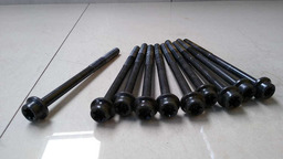 Jogo Parafuso Cabeçote Motor Ford Ecosport 2.0 2012