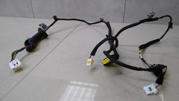 Chicote Porta Traseiro Esquerdo Hb20 S 1.0 Gdi Turbo 2020