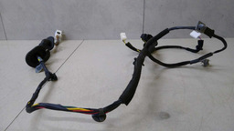 CHICOTE PORTA TRASEIRO ESQUERDO HB20 S 1.0 GDI TURBO 2020