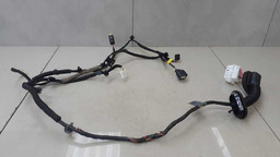 CHICOTE PORTA DIANTEIRA DIREITA HYUNDAI HB20S GDI 2020