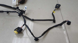 CHICOTE PORTA DIANTEIRA DIREITA HYUNDAI HB20S GDI 2020