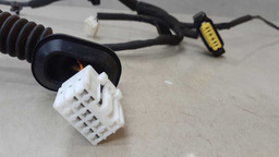 CHICOTE PORTA TRASEIRO DIREITO HYUNDAI HB20S GDI 2020