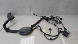 Chicote Porta Dianteira E. Range Rover Sport  2008 A 2010