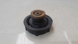 TAMPA RESERVATÓRIO ÁGUA RADIADOR FORD ECOSPORT  2015