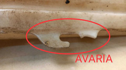 RESERVATÓRIO AGUA PARABRISA CITROËN ZX 1991 A 1997