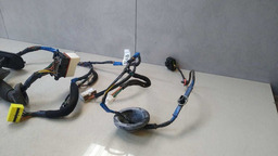 CHICOTE PORTA DIANTEIRA D. HYUNDAI VERA CRUZ 2008 A 2010