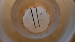 RESERVATÓRIO ÁGUA RADIADOR VW JETTA TSI 2.0 2012 2013