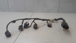 CHICOTE DOS BICOS GM CAPTIVA 2.4 2012