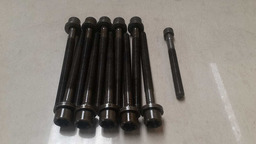 Jogo Parafusos Cabeçote Bmw X1 3.0 6cc 2011 