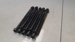 Jogo Parafusos Cabeçote Hyundai Sonata 2.4 2010 