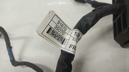 CHICOTE PORTA DIANTEIRA DIREITA HYUNDAI SONATA 2010