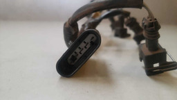 CHICOTE DOS BICOS RENAULT SANDERO 1.0 2013 2014