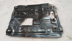 PROTETOR CÁRTER GM MONTANA 2007