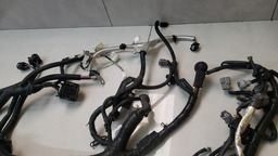 CHICOTE INJEÇÃO NISSAN VERSA 1.6 2019 240119LW0C