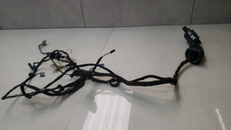 Chicote Porta Dianteira Esq. Bmw 328i 2013 A 2016 925998102