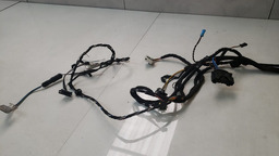 CHICOTE PORTA DIANTEIRA ESQ. BMW 328I 2013 A 2016 925998102