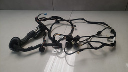 Chicote Porta Dianteira Esquerda Bmw X6 2015 A 2019