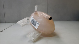 RESERVATÓRIO AGUA RADIADOR FIAT TORO 1.8 2016 A 2021