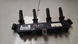 BOBINA IGNIÇÃO PEUGEOT 207 1.4 2006 A 2014 COM DETALHE