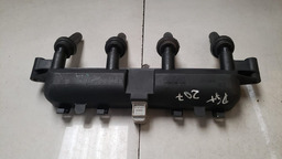 BOBINA IGNIÇÃO PEUGEOT 207 1.4 2006 A 2014 COM DETALHE