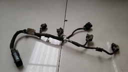 Chicote Bicos Injetores Gm Captiva 2.4 2008 A 2015