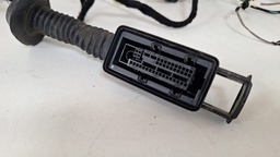 CHICOTE PORTA DIANTEIRO D. BMW 320I ACTIVE 2018