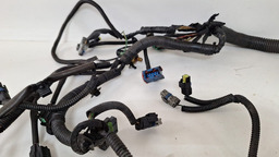 CHICOTE INJEÇÃO CITROEN C4 PALLAS 2008 A 2011