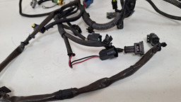 CHICOTE INJEÇÃO CITROEN C4 PALLAS 2008 A 2011