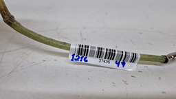 SONDA LAMBDA TURBINA RENAULT MASTER 2.3 2013 A 2020