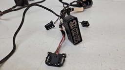 CHICOTE PORTA TRASEIRA ESQUERDA VOLKSWAGEN GOLF 2005 2006