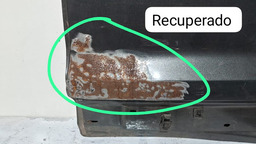 PORTA TRASEIRA ESQUERDA FORD ECOSPORT 2013 A 2022 C/DETALHE ESQUERDO PRETO