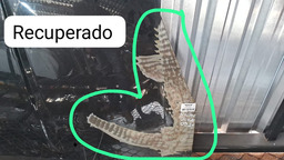 CAPO NISSAN LIVINA 2009 A 2014 COM DETALHE