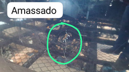 CAPO CITROEN XSARA 2000 A 2010 COM DETALHE