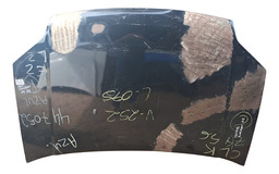 Capô Dianteiro Ecosport 2003 a 2007 C/Detalhe 