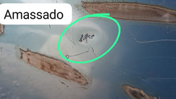 CAPÔ DIANTEIRO C3 2003 A 2012 C/DETALHE 