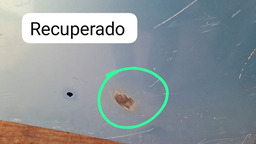 CAPÔ DIANTEIRO C3 2003 A 2012 C/DETALHE 