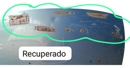 CAPÔ DIANTEIRO C3 2003 A 2012 C/DETALHE 