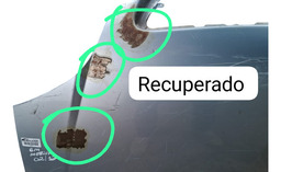 CAPÔ DIANTEIRO MERIVA 2003 A 2012 C/DETALHE