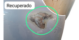 CAPÔ DIANTEIRO POLO 2003 2004 A 2006 C/DETALHE