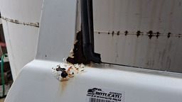 PORTA DIREITA GOL PARATI BOLA G2 2P 1995 A 2004 C/DETALHE