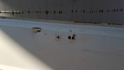 PORTA DIREITA GOL VOYAGE PARATI 1983 A 1987 C/DETALHE