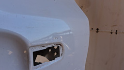 PORTA TRASEIRA ESQUERDA FOCUS HATCH/SEDAN 2014 /19 C/DETALHE