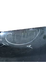 CAPÔ DIANTEIRO LINEA 2009 2010 A 2016