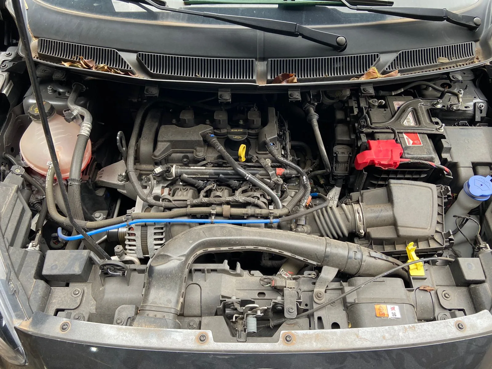 FORD KA SE PLUS 1.5 HÁ C 2020