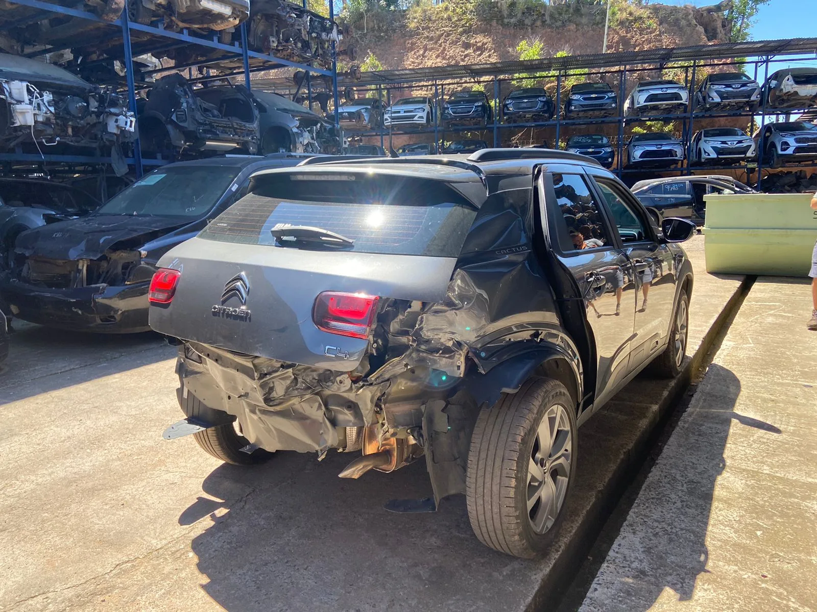 CITROEN C4 CACTUS FEEL 19.20