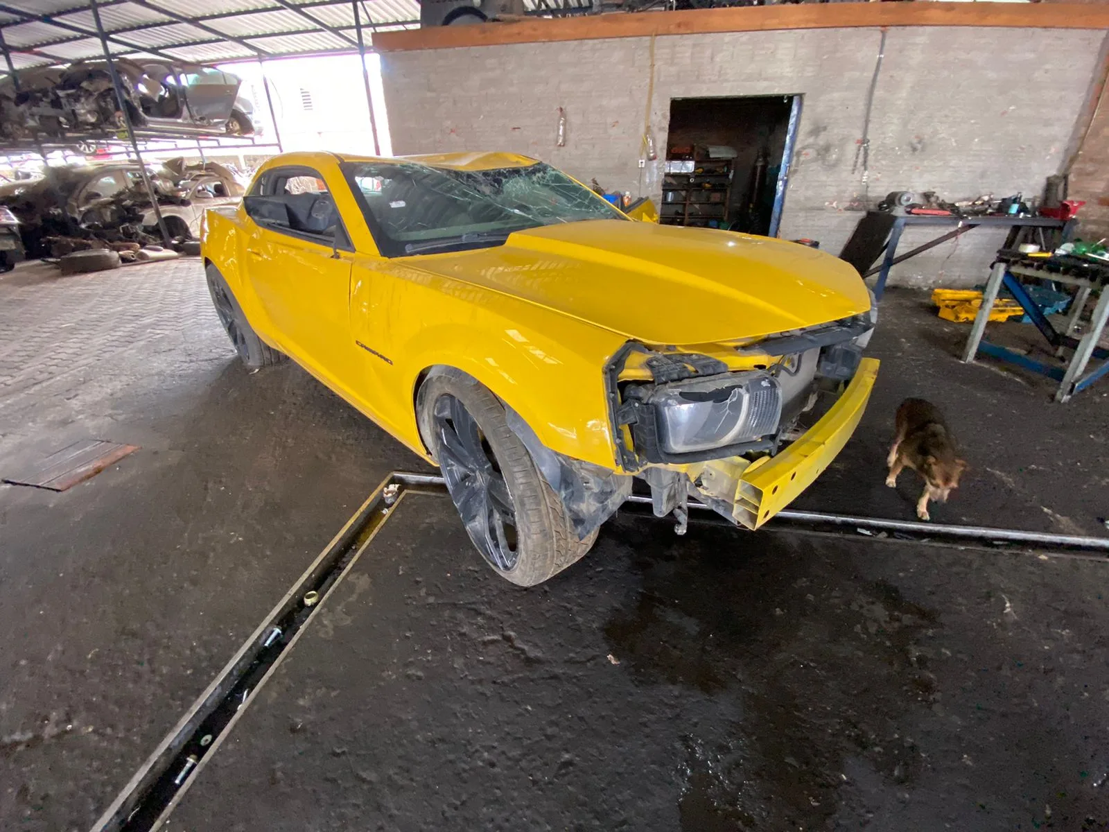 CHEVROLET CAMARO SS 6.2 V8 12.13