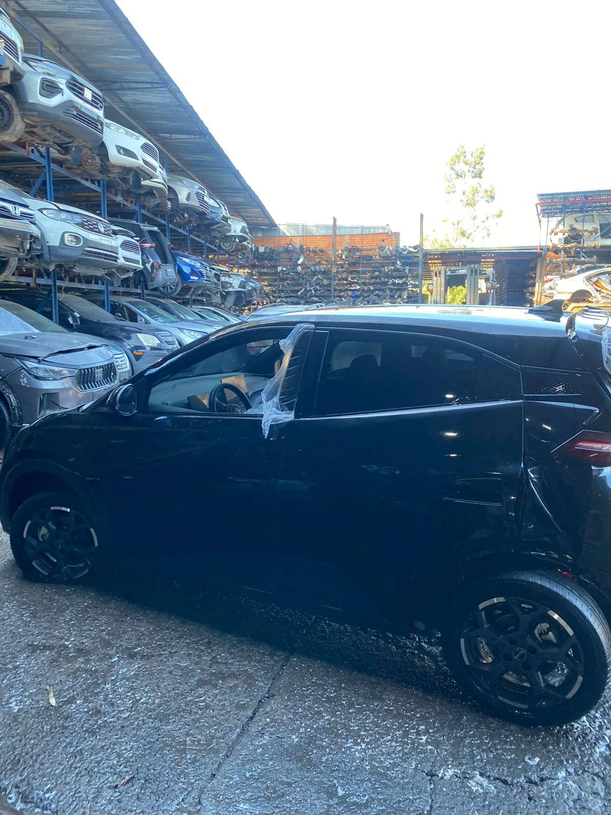 BYD DOLPHIN MINI GS5EV 25.26